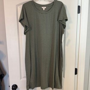 NWT Terra & Sky Striped Green T-Shirt Dress
